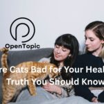 Are Cats Bad for Your Health? Truth You Should Know