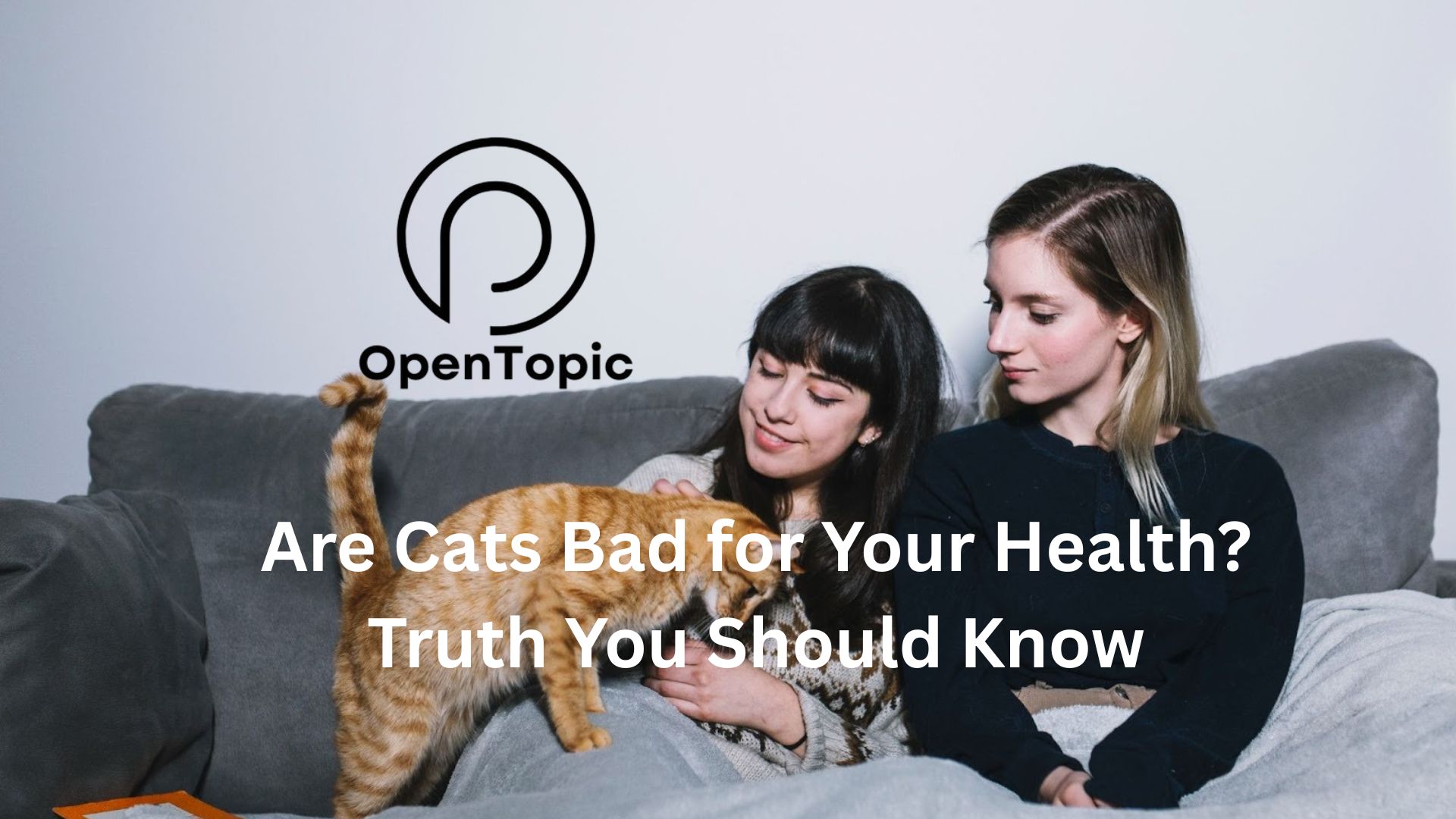 are cats bad for your health